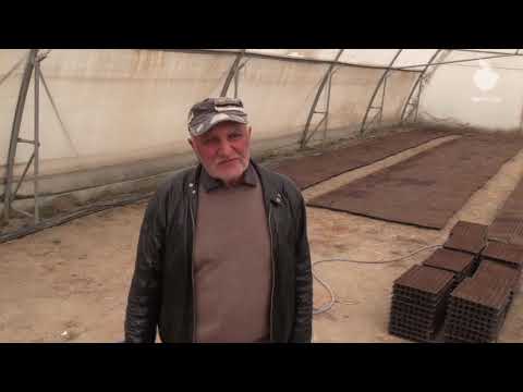 სათბური ნიქოზში - ფერმერი ყვება ქართული ბაზრის თავისებურებების შესახებ